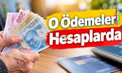 O Ödemeler Hesaplarda