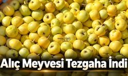 Sonbaharın Vazgeçilmez Meyvesi Alıç (Haziran) Tezgâhlarda Yerini Aldı