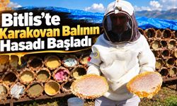 Bitlis’te dünyaca ödüllü karakovan balının hasadına başlanıldı