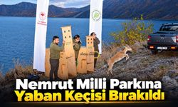 Bitlis Nemrut Kalderası’nda Sürpriz Gelişme!