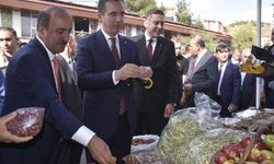 Hizan karakovan balı hasadı festivali başladı