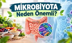 Bağırsak Sağlığının Anahtarı: Mikrobiyota Neden Önemli?