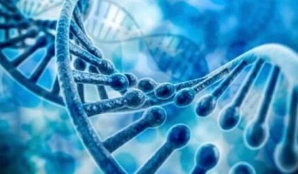 DNA’nın Keşfinden Genetik Devrime