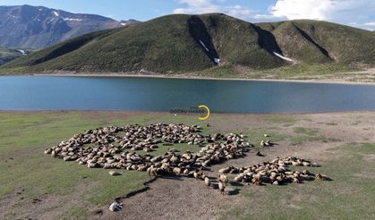 Göçerler 5 aylık yayla sezonunu Bitlis’te açtı