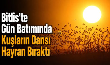 Bitlis'te gün batımında nefes kesen kuş dansı