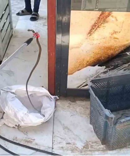 Ekmek Sandığından Yılan Çıktı
