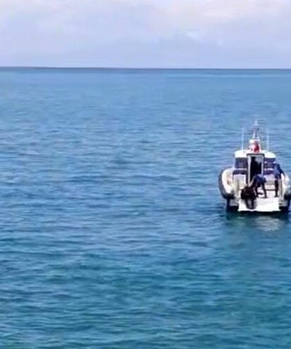 Otomobil Van Gölü'ne Uçtu: Sürücü Yaralandı