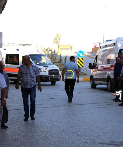 Arı Sokması Ölümcül Olabilir