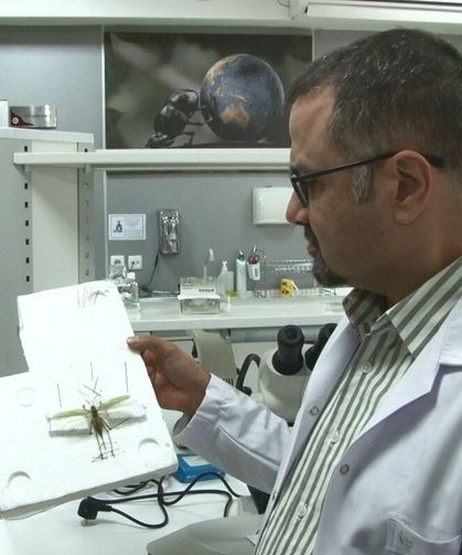 Uzmandan Çekirge İstilası İddialarına Açıklama