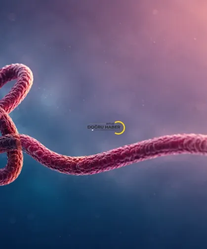Ebola Virüsüne Karşı Kritik Uyarı