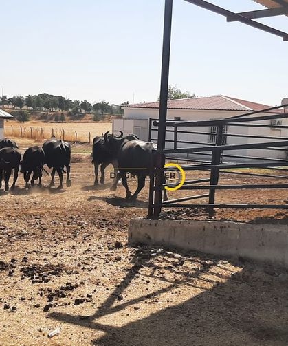 Mandalar İtalya'dan,Üretim Diyarbakır'dan