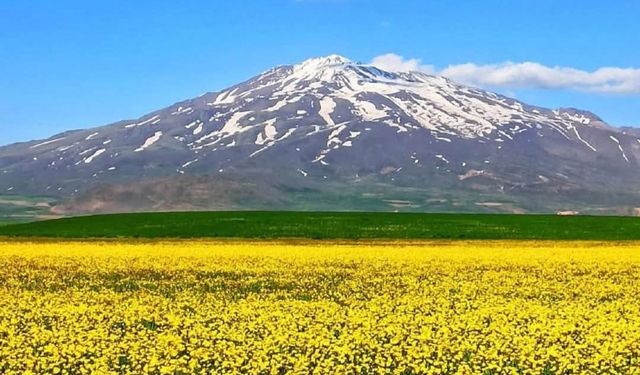 Adilcevaz’da Öğretmenler Doğayla Buluşuyor: Sütey Yaylası'nda Kamp Etkinliği