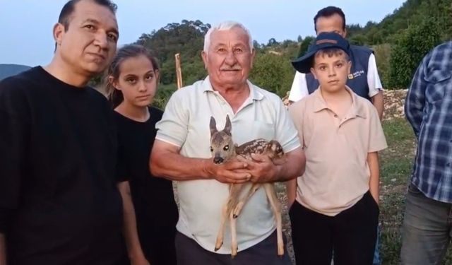 Yavru Ceylana Bebek Gibi Bakıyor