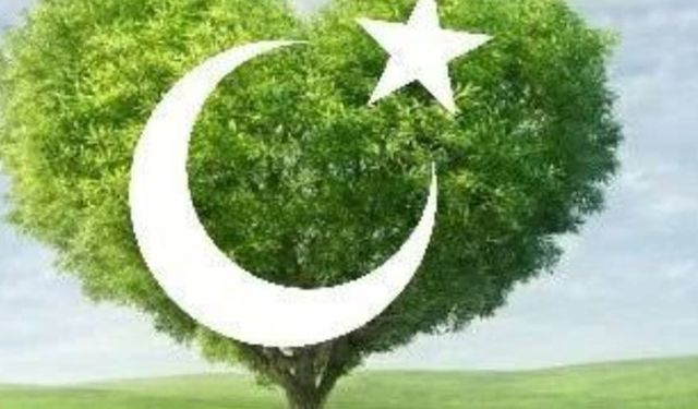 Yaz Aylarında Yangın Uyarısı: Yetkililer Dikkatli Olunması Çağrısında Bulundu