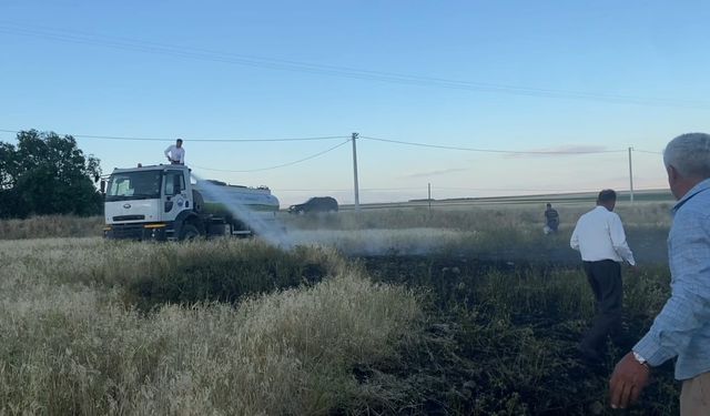 Adilcevaz’daki Tarla Yangını Korkuttu