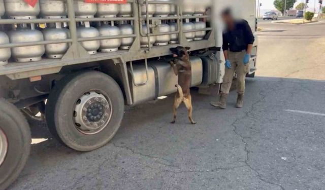 Bakın nereye zulalamışlar!
