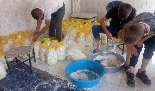 Bitlis'te Yaz Yeni Gelmesine Rağmen Kış Hazırlıkları Başladı