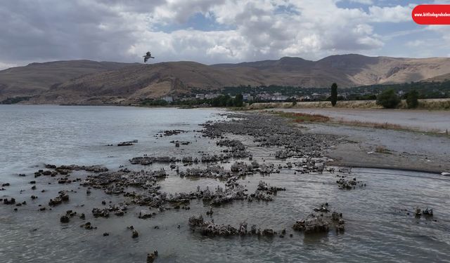 Bitlis’teki mikrobiyalit tarlaları turizm açısından yeni bir alan açtı
