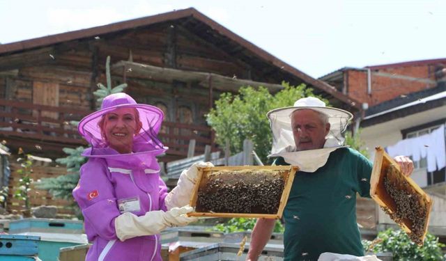 Dünyaca ünlü Anzer balında referans kovanlarında sağım gerçekleşti