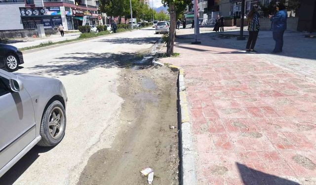 İskele Caddesi'nde çile büyüyor