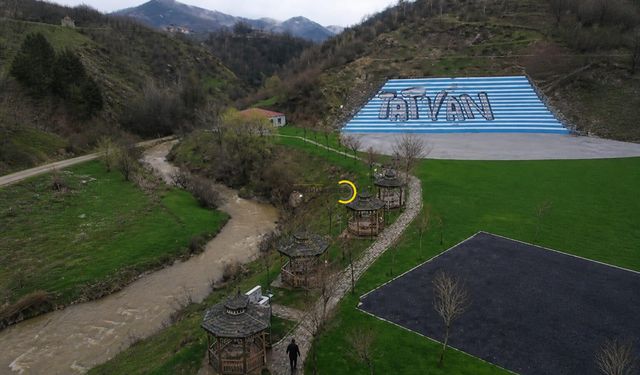 Tatvan Mesire Alanı Görenleri Hayran Bıraktı