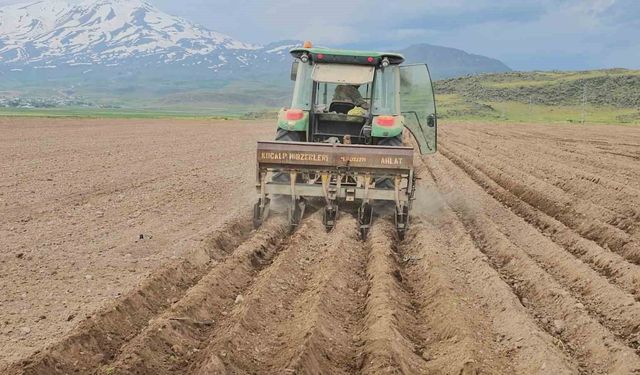 Bitlis'te Fasulye Mesaisi Başladı