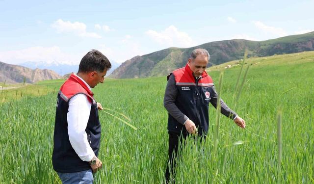 Kars'ta Tarımsal Üretim Yakından Takip Ediliyor