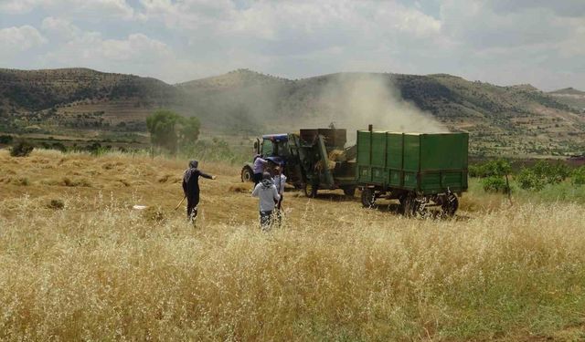 Mercimek Hasadını Oyun Havalarıyla Kutladılar