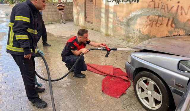 Park Halindeki Otomobil Alevlere Teslim Oldu