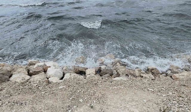 Van Gölü'nde Dev Dalgalar! Rüzgar Sahili Dövdü