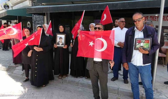 Van'da evlat nöbeti 120'nci haftasında kararlılıkla sürüyor