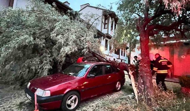 Yaşlı Ağacın Dalı Otomobilin Üzerine Düştü
