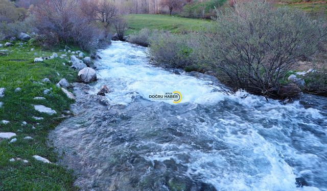 Bitlis'in kar suları Van Gölü'ne güç katıyor