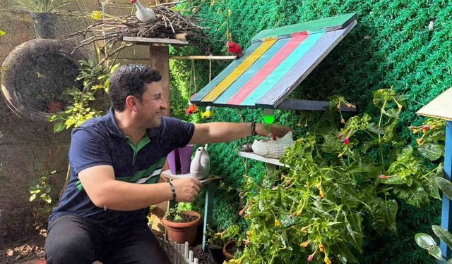 40 Derece Sıcağa Bahçesinde Serin Çözüm