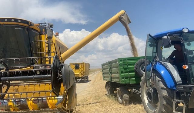 Adilcevaz'da Buğday Hasadı Başladı