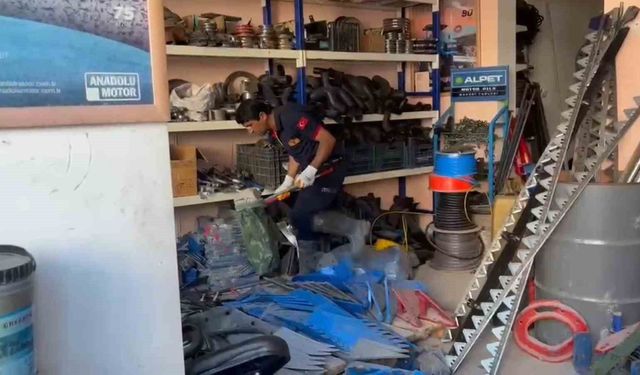 Adilcevaz'da İş Yerine Giren Yılan Paniğe Neden Oldu