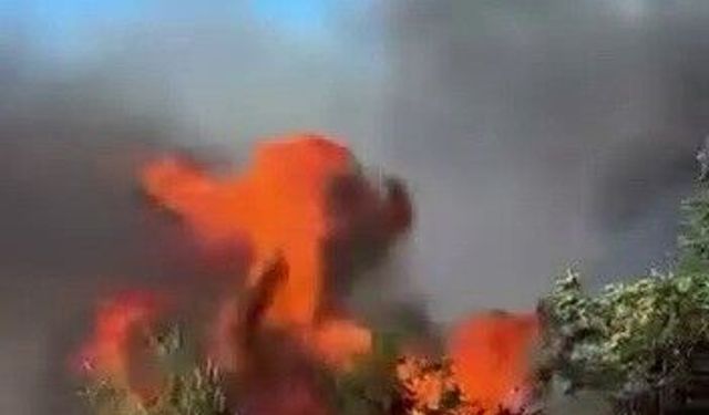 Adıyaman'da Anız Yangını Korkuttu