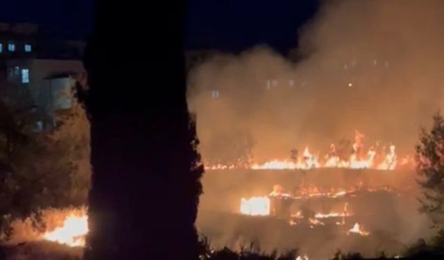 Adıyaman'da Otluk Yangını Bahçeye Sıçradı