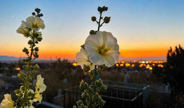 Ağrı'da Gün Batımı Ve Dolunay Büyüledi