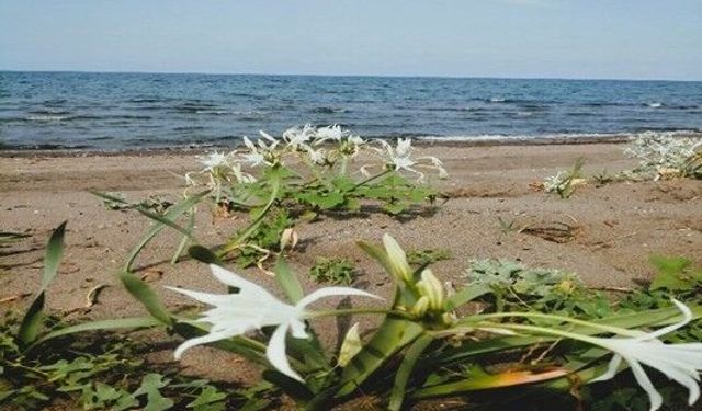 Doğaya Zararın Bedeli Ağır Oldu