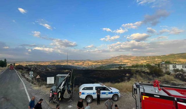 Lice'de Orman Ve Tarım Arazisi Yangını Kontrol Altına Alındı
