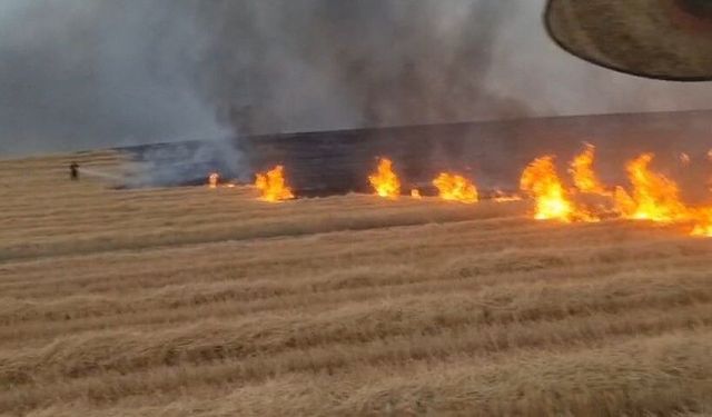 Silvan'da 5 Bin Dönümlük Alanda Yangın