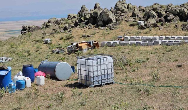 Süphan Dağı'nın Zengin Florası Arıcılara Umut Oldu: Bal Veriminde Artış Bekleniyor
