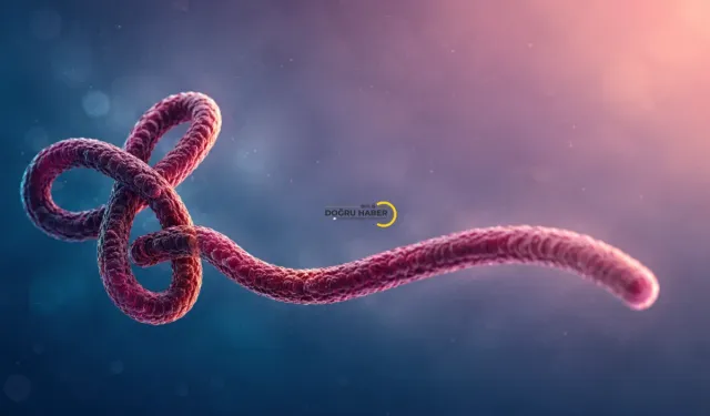 Ebola Virüsüne Karşı Kritik Uyarı