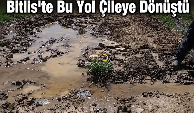 Bitlis'te Bu Yol Çileye Dönüştü