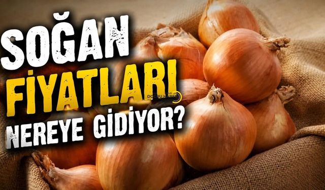 Bitlis'te Soğan Ateş Pahası!