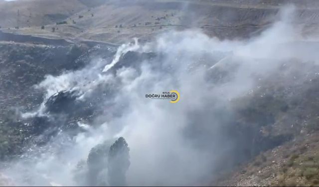Bitlis'te Aynı Noktada Yangın Yeniden Alevlendi