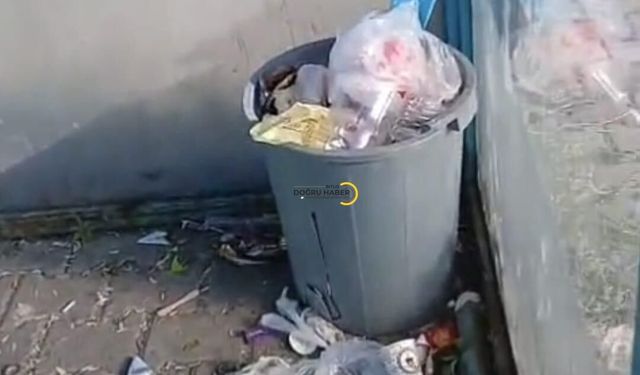 Bitlis'te Herkes Aynı Soruyu Soruyor: Bu Durum Neden Düzelmiyor?