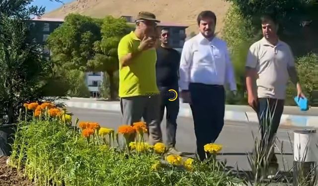 Adilcevaz'da Refüjler Çiçeklerle Renkleniyor