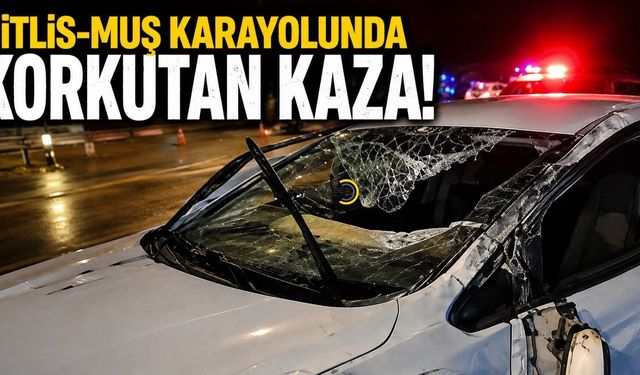 Bitlis-Muş karayolunda korkutan kaza